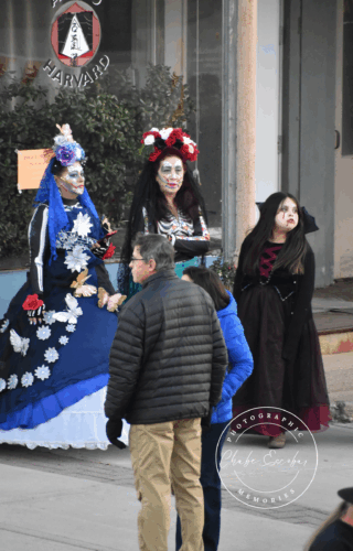 Dia de los Muertos.zip - 53