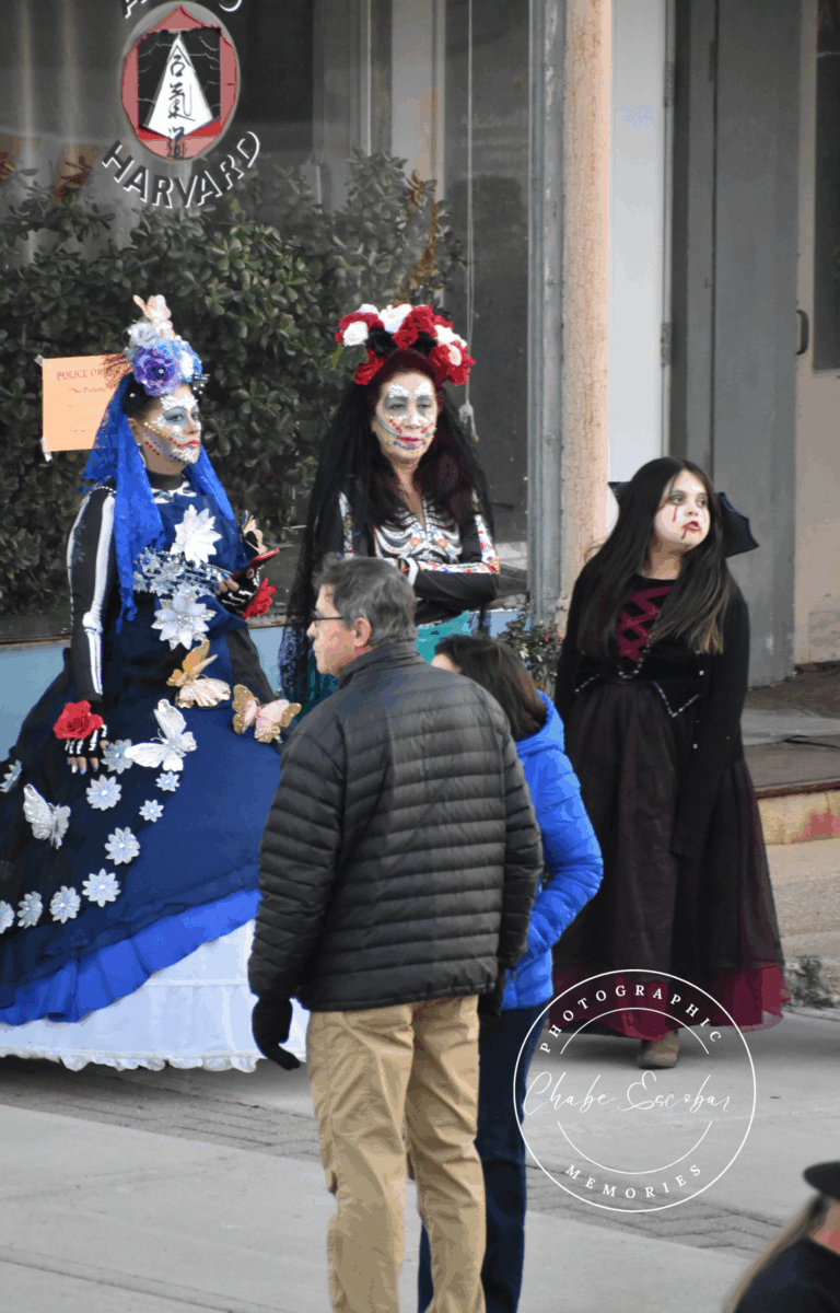 Dia de los Muertos.zip - 53